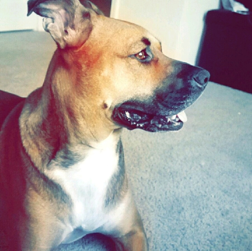 Meet your Posher, Khadejah